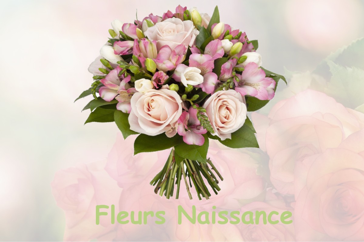 fleurs naissance BASSE-GOULAINE